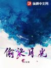 偷染月光